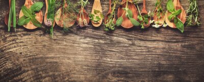 Fototapete Grüne Kräuter auf Holzlöffeln