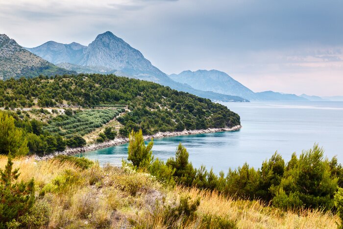 Fototapete Grüne Küste am Meer