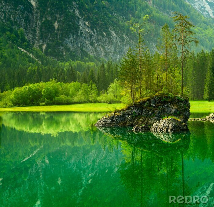 Fototapete Grüne Landschaft von Bergen und Pflanzen