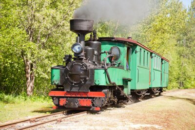 Fototapete Grüne Lokomotive Zug am Wald
