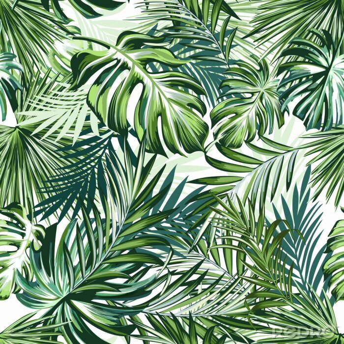 Fototapete Grüne Palmblätter