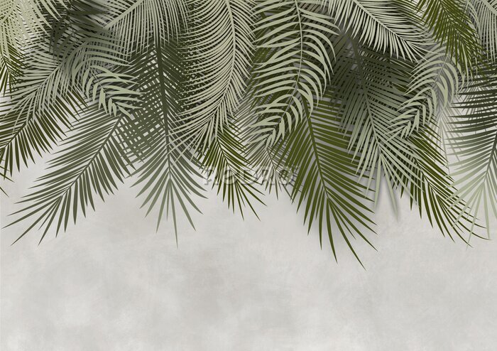 Fototapete Grüne Palmblätter hängen an einer Betonwand