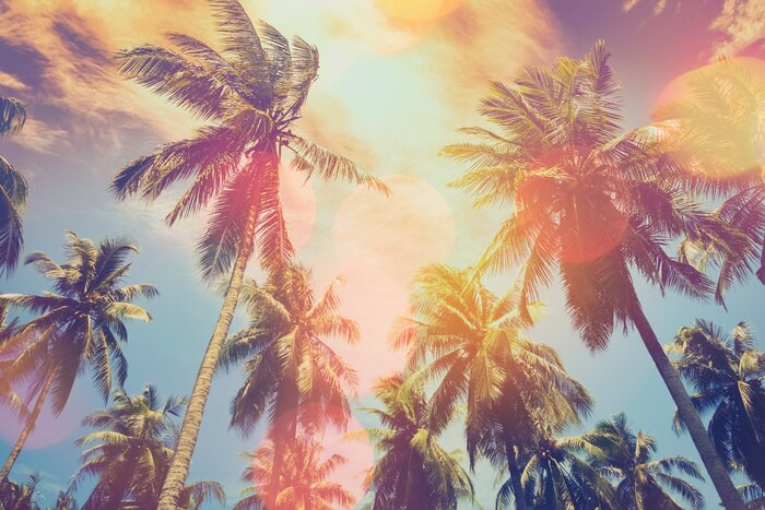 Fototapete Grüne Palmen Vintage