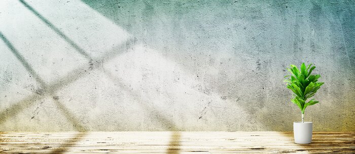 Fototapete Grüne Pflanze vor einer Betonwand