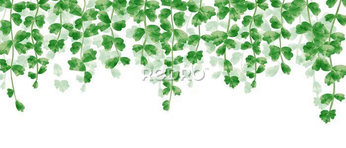 Fototapete Grüne Ranken mit von oben herabhängenden Blättern