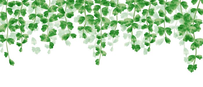 Fototapete Grüne Ranken mit von oben herabhängenden Blättern