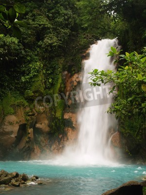 Fototapete Grüne Tropen und Wasserfall