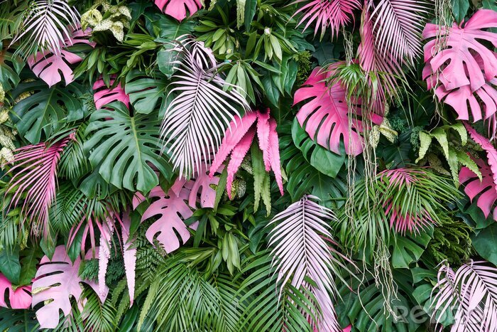 Fototapete Grüne und rosa tropische Blätter