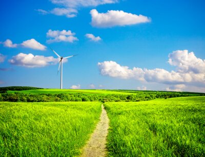 Grüne Wiese und Windmühlen