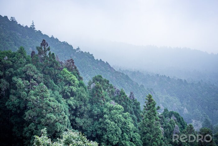 Fototapete Grüner berghang