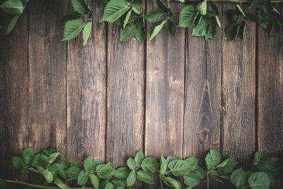 Fototapete Grüner Efeu auf einem Holztisch