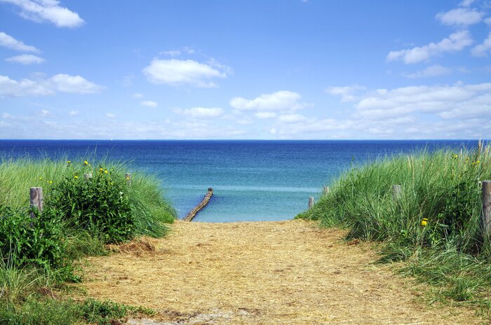 Fototapete Grüner Eingang zum Strand
