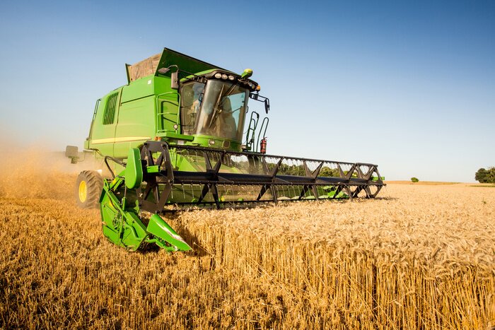 Fototapete Grüner Mähdrescher auf dem Feld