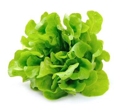 Fototapete Grüner Salat auf weißem Hintergrund