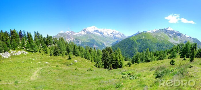 Fototapete Grünes Alpenpanorama