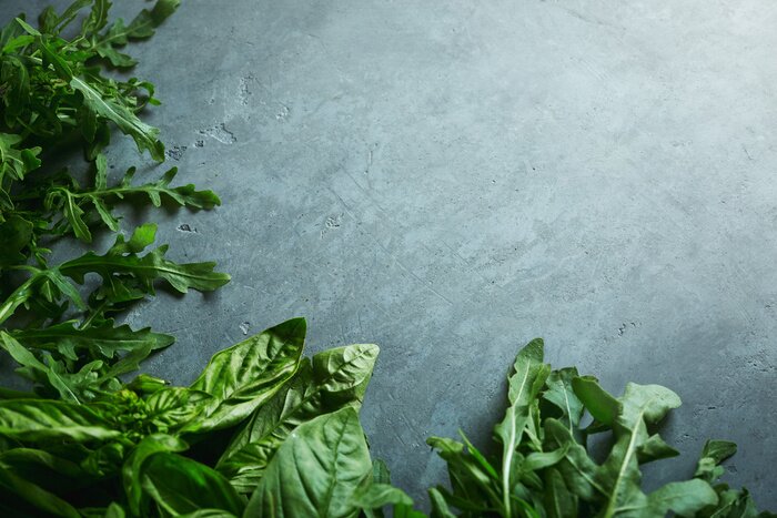 Fototapete Grünes Basilikum auf grauem Hintergrund