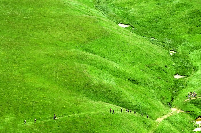 Fototapete Grünes Feld im Tal