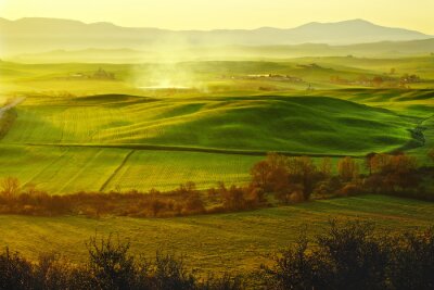 Fototapete Grünes Feld in der Toskana