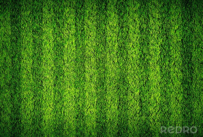 Fototapete Grünes Gras am Sportplatz