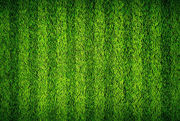 Fototapete Grünes Gras am Sportplatz