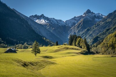 Fototapete Grünes Gras und Berge