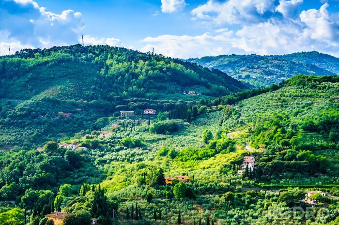 Fototapete Grünes Panorama von Toskana