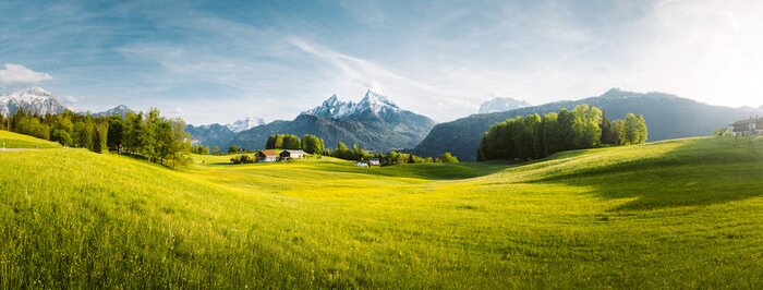 Fototapete Grünes Tal mit Blick auf die Alpen
