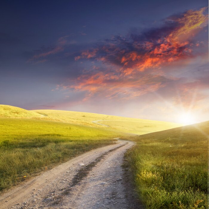 Fototapete Grünfeld gegen die untergehende Sonne