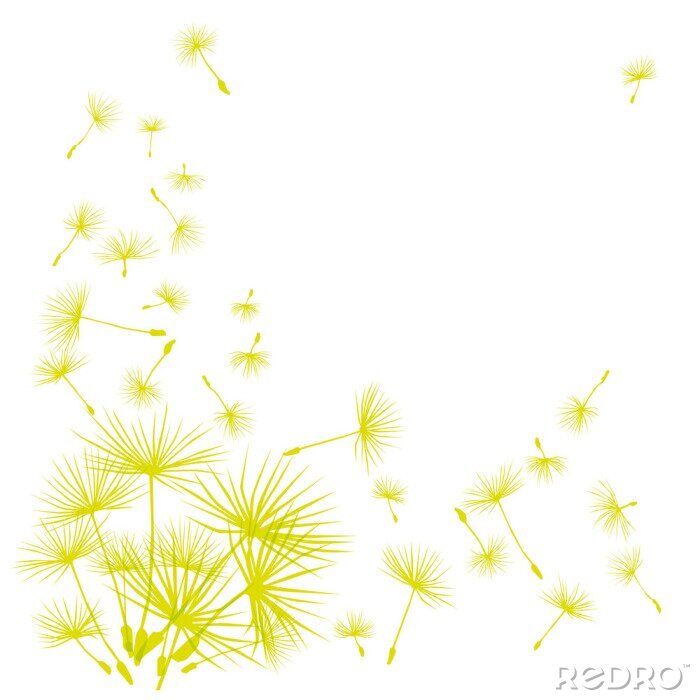 Fototapete Grünliche Samen der Pusteblume