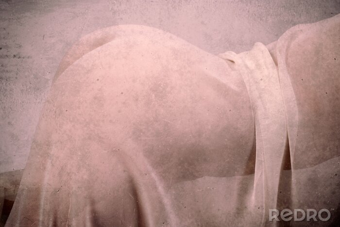 Fototapete Grunge style close up naked woman image