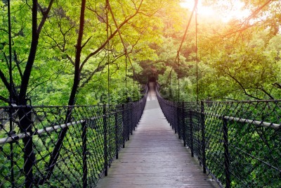 Fototapete Hängebrücke im Dschungel