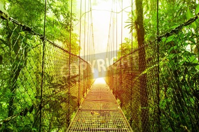 Fototapete Hängebrücke über dem Dschungel