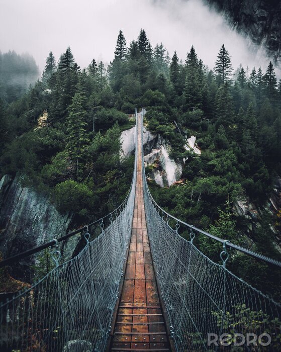 Fototapete Hängebrücke über nebligem Wald