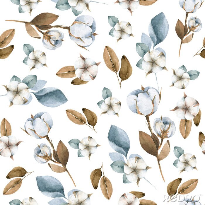 Fototapete Hand painted watercolor seamless pattern of winter flowers of cotton, berries, leaves and branches. Illustration isolated on white