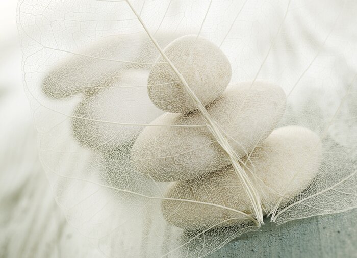 Fototapete Harmonisches Weiß der Steinkomposition