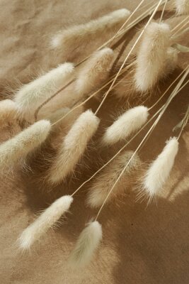 Haufen flauschiger trockener Gräser