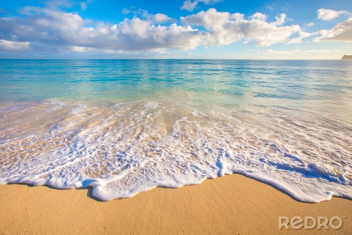 Fototapete Hawaii Strände