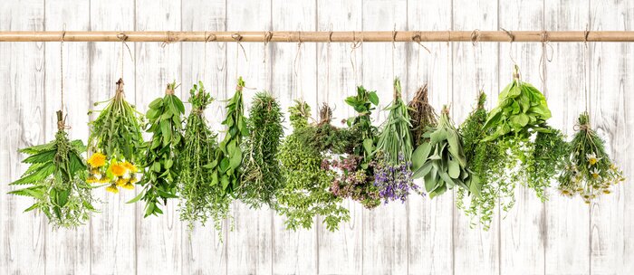 Fototapete Heilkräuter. Kräuter-Apotheke. Lavendel, Löwenzahn, Brennnessel