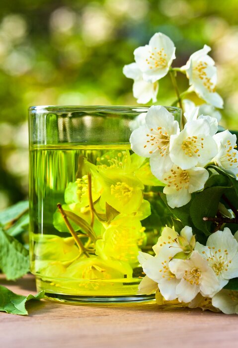 Fototapete Heiße Getränke Jasmintee