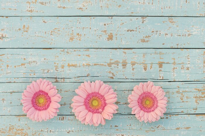 Fototapete Helle Blumen im Shabby Stil