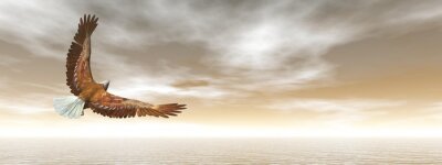Fototapete helles Panorama mit Adler