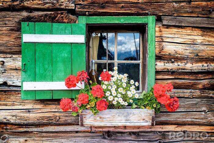 Fototapete Hellgrünes fenster mit blumen