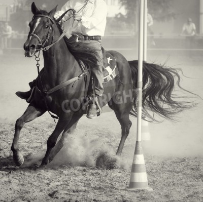 Fototapete Hengst mit einem rodeoreiter