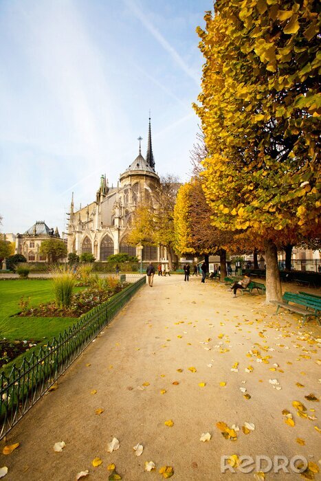 Fototapete Herbst im Pariser Park