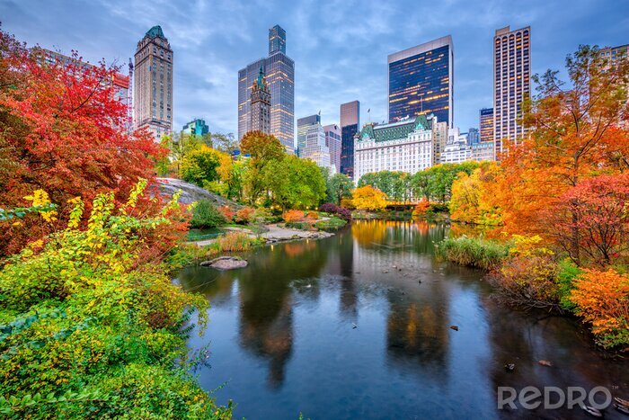 Fototapete Herbst in New York City