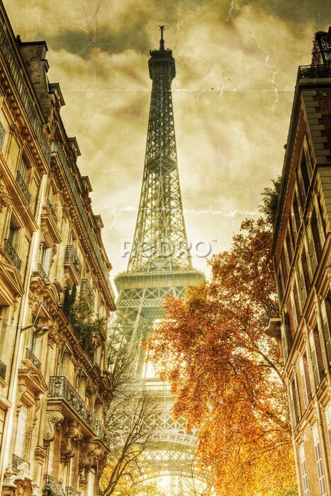 Fototapete Herbst in Paris