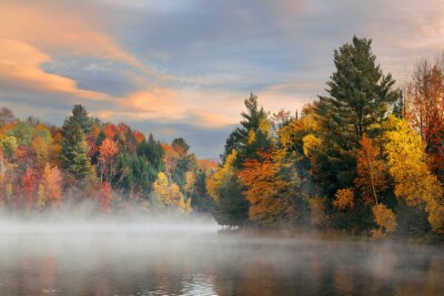 Fototapete Herbstbäume am See