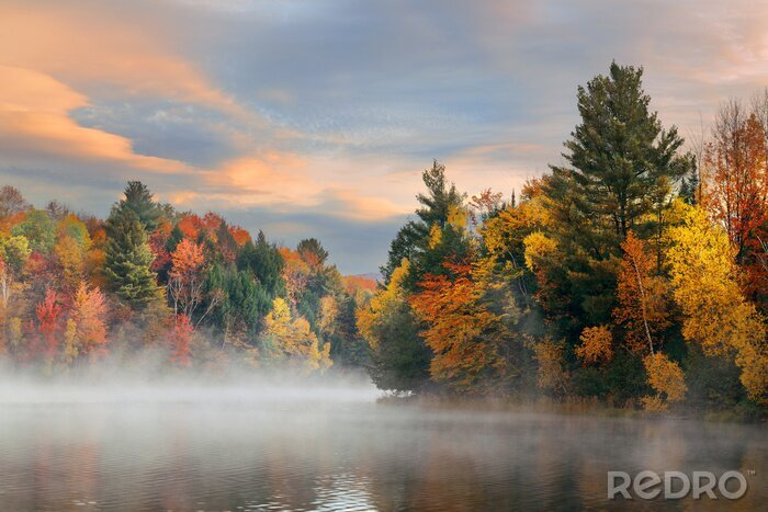 Fototapete Herbstbäume am See