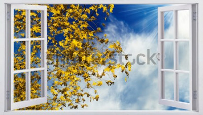 Fototapete Herbstblätter vor dem himmel