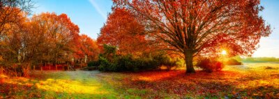 Herbstlandschaft mit Eichen